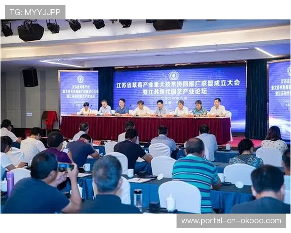 技术联盟统一超高清制播标准，促进跨区域制作协同